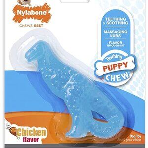 Puppy Toy: Nylabone Chicken-flavored Teething Dinosaur Chew Toy